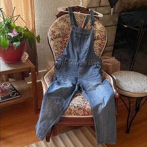 Wallflower Blue Denim Women's Overalls